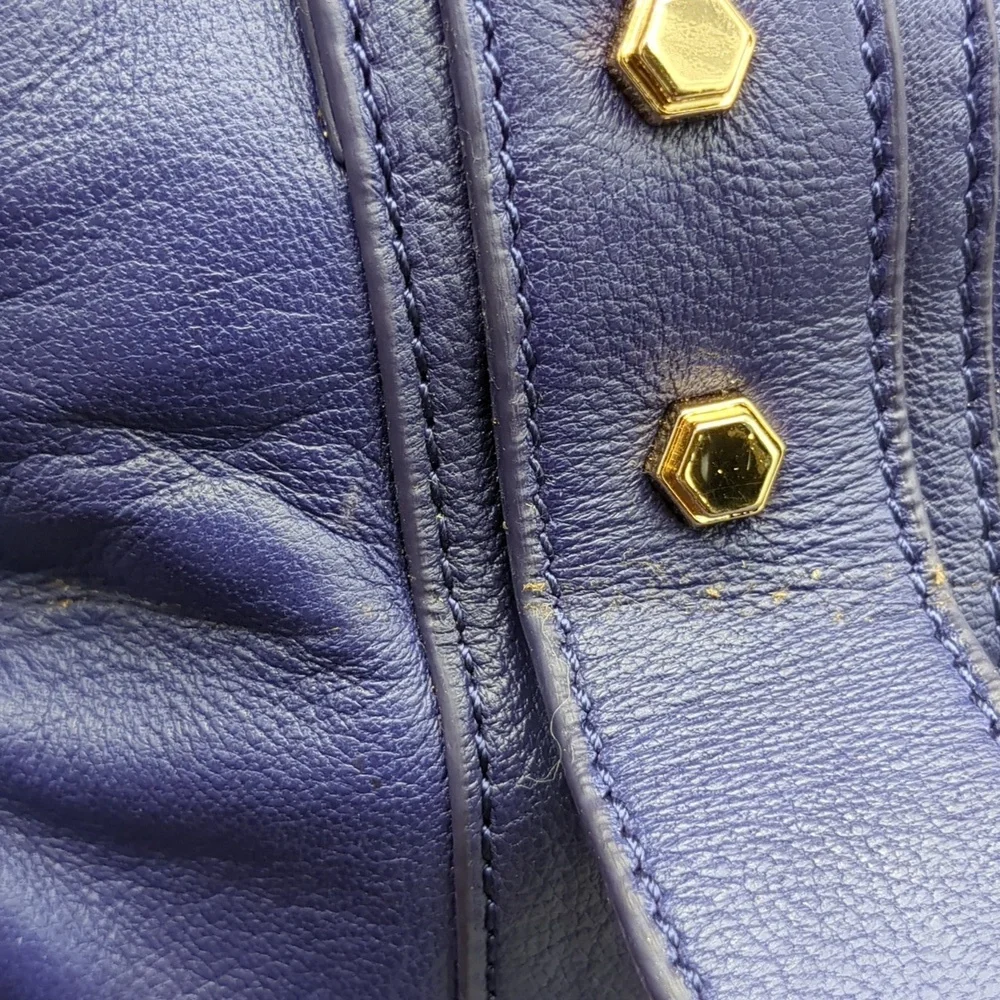Z Spoke aka Zac Posen get happy bag